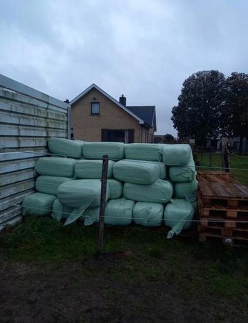 Kleine pakjes baaltjes voordroog hooi beschikbaar voor biedingen