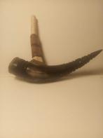 Pijp-Chillum in hoorn, Ophalen