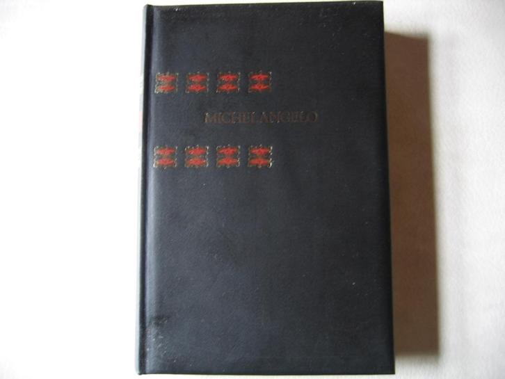 Michelangelo uit de reeks genie en wereld, Boeken, Biografieën, Ophalen of Verzenden