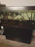 Juwel aquarium met kast, filtersysteem en co2 systeem, Dieren en Toebehoren, Ophalen, Zo goed als nieuw, Overige typen