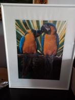 Kader in glas en 2 vogels, Antiek en Kunst, Ophalen
