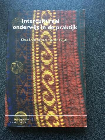 Intercultureel onderwijs in de praktijk beschikbaar voor biedingen