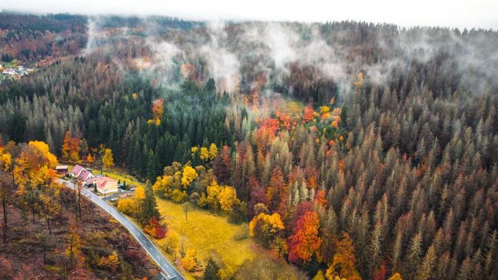 Zelfvoorzienend wonen - instapklaar, Immo, Buitenland, Duitsland, Woonhuis, Dorp