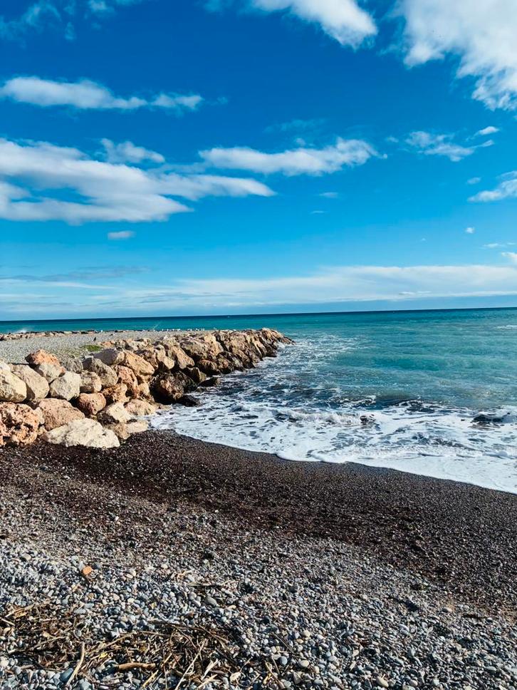 Chatons, Maison & Meubles, Ameublement | Papier peint, Enlèvement