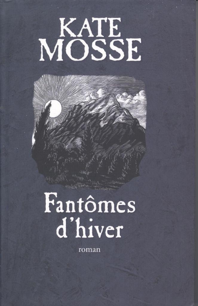 FANTÔMES  D'HIVER, Livres, Thrillers, Comme neuf, Belgique, Enlèvement ou Envoi