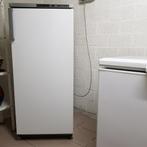 diepvriezers, Elektronische apparatuur, Vriezers en Diepvrieskisten, Gebruikt, 120 tot 140 cm, Minder dan 60 cm, Vrijstaand