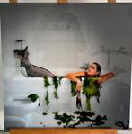 Photo professionnelle sur aluminium 2/10, Enlèvement ou Envoi