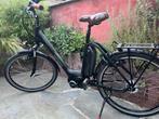 Bosch aangedreven Damesfiets lage instap, Ophalen
