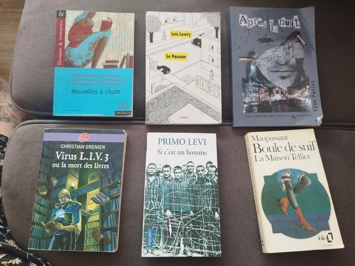 Livres scolaires – Lecture collège / lycée – À l’unité, Boeken, Studieboeken en Cursussen, Zo goed als nieuw, Ophalen