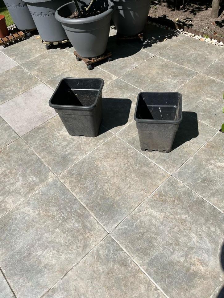 kweekpotten robuste 12Lit - 22 stuks, Tuin en Terras, Bloempotten, Kunststof, Balkon, Tuin, Minder dan 40 cm, 25 tot 40 cm, Vierkant