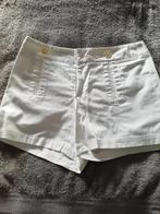 Mooie witte short dames, Hampton Bays. Spotprijs, Kleding | Dames, Maat 38/40 (M), Kort, Wit, Nieuw