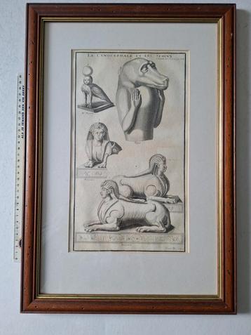 18de eeuwse ets Sphinx en hondskopachtige uit 1722 beschikbaar voor biedingen
