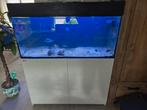 Zeeaquarium/zoutwater aquarium