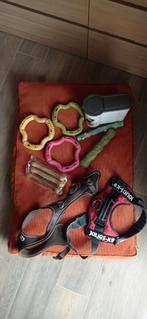 Coussin pour grand chien avec tout ce qui a sur le coussin, Animaux & Accessoires, Accessoires pour chiens, Enlèvement