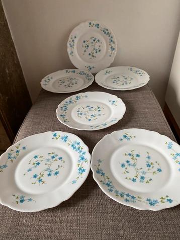 Set van zes Arcopal dessertborden met Myosotis decor beschikbaar voor biedingen