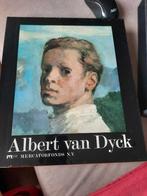 Albert Van Dijk boek, Antiek en Kunst, Kunst | Schilderijen | Klassiek, Ophalen of Verzenden