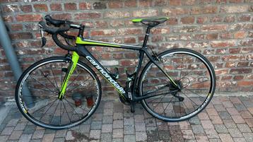 Cannondale Synapse Carbone – Excellent état beschikbaar voor biedingen