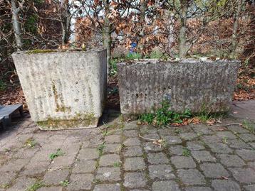 Bloembakken  beschikbaar voor biedingen