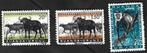 Postzegels Ruanda-Urundi  Beschermde dieren, Postzegels en Munten, Postzegels | Afrika, Ophalen of Verzenden, Overige landen, Gestempeld