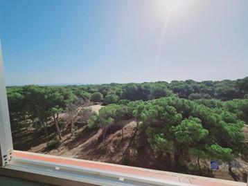 appartement bord de mer a vendre en espagne 