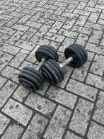 2x24 kg dumbells (vast), Sport en Fitness, Fitnessmaterialen, Ophalen, Zo goed als nieuw