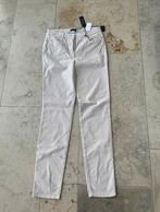 Herfst/winter broek maat 40 Caroll nieuw! 90 euro, Neuf, Taille 38/40 (M), Enlèvement ou Envoi, Caroll
