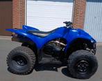 Yamaha wolverine 350 cc te koop, Motoren