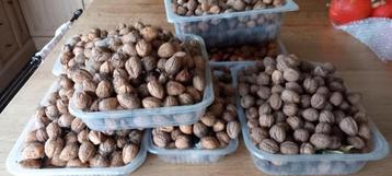 Noten beschikbaar voor biedingen