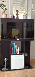 Aquarium Juwel, Dieren en Toebehoren, Ophalen, Gebruikt, Leeg aquarium