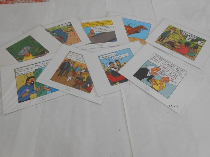 TINTIN, Verzamelen, Stripfiguren, Nieuw, Plaatje, Poster of Sticker, Kuifje, Ophalen of Verzenden