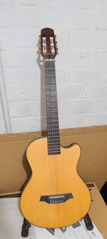 Guitare électro classique  beschikbaar voor biedingen