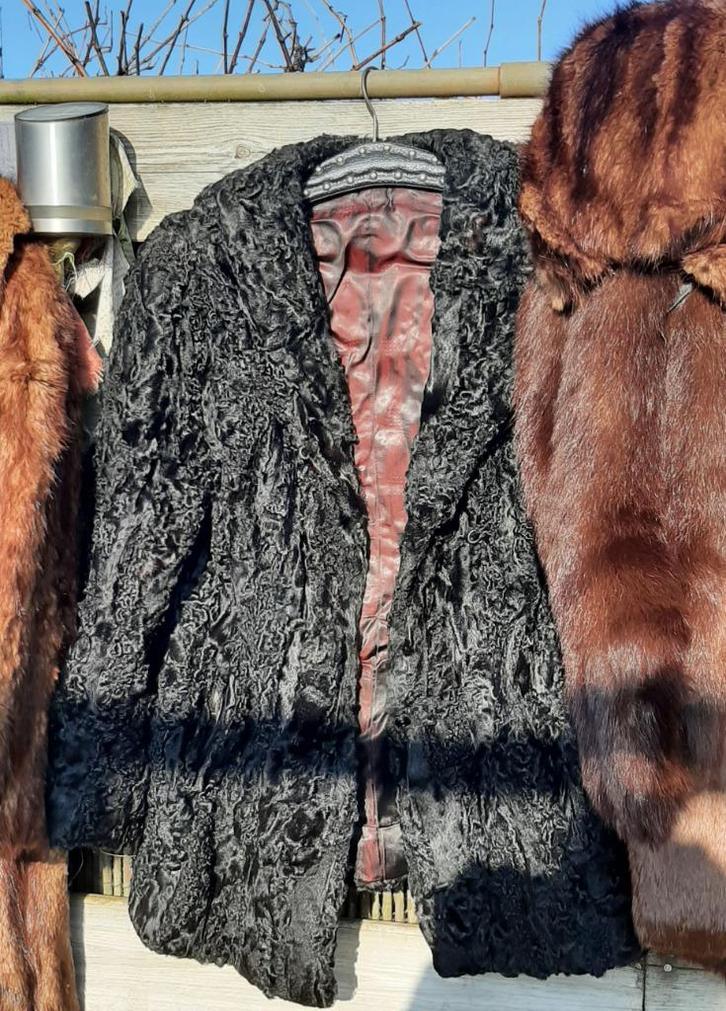 ASTRAKAN Bontjas - Kan vermaakt worden tot CARACUL mutsen !, Kleding | Dames, Jassen | Winter, Gedragen, Maat 38/40 (M), Zwart