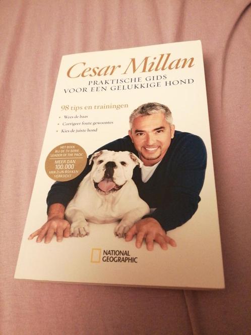 Cesar Millan - Praktische gids voor een gelukkige hond, Livres, Animaux & Animaux domestiques, Comme neuf, Enlèvement