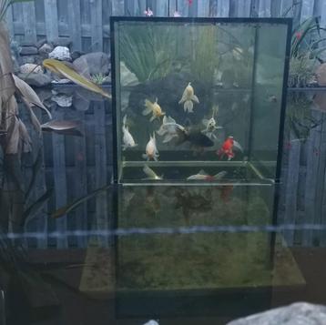 Aquatower beschikbaar voor biedingen