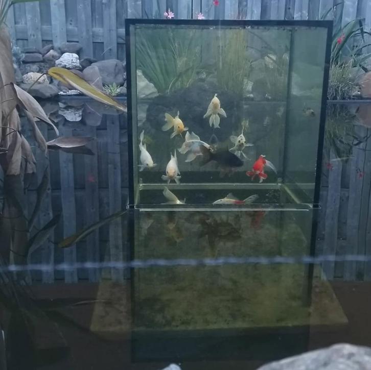 Aquatower, Jardin & Terrasse, Pièces d'eau & Fontaines, Utilisé, Ornement d'eau, Inox, Enlèvement