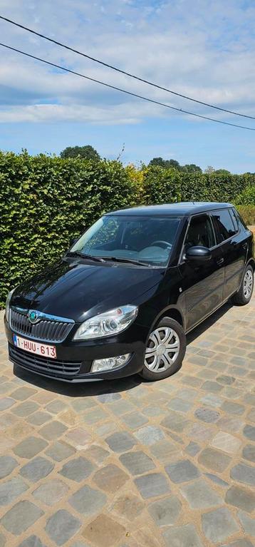 Zeer mooie Skoda Fabia 1,2 tdi beschikbaar voor biedingen