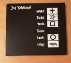 DJ Shadow - What Does Your Soul Look Like EP (CD) digipak, Comme neuf, Enlèvement ou Envoi, Trip Hop ou Breakbeat