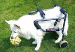 hondenkar (Canimobil), Dieren en Toebehoren, Ophalen of Verzenden, Zo goed als nieuw