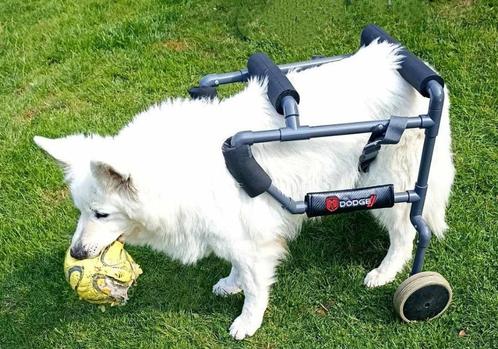 hondenkar (Canimobil), Dieren en Toebehoren, Overige Dieren-accessoires, Zo goed als nieuw, Ophalen of Verzenden