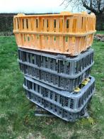 3 korven voor transport gevogelte/konijn......, Animaux & Accessoires, Rongeurs & Lapins | Cages & Clapiers, Lapin, 75 à 110 cm