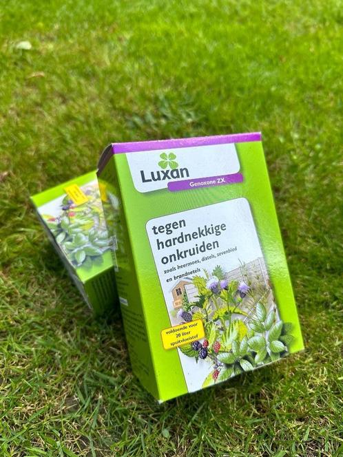 Luxan Genoxone ZX tegen hardnekkige onkruiden - 2 doosjes, Jardin & Terrasse, Pesticides, Neuf, Répression des mauvaises herbes