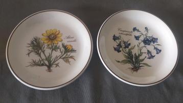 2 plats ronds Villeroy & Boch Botanica disponible aux enchères