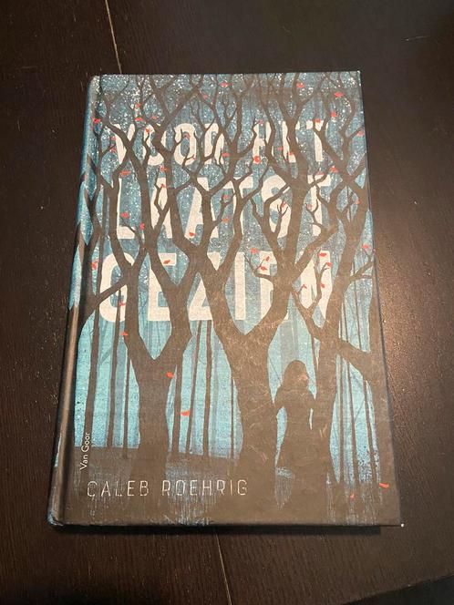 Caleb Roehrig - Voor het laatst gezien, Livres, Livres pour enfants | Jeunesse | 13 ans et plus, Comme neuf, Fiction, Enlèvement ou Envoi