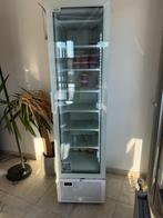 Horeca vriezer 221L, Elektronische apparatuur, Vriezers en Diepvrieskisten, Ophalen, Zo goed als nieuw