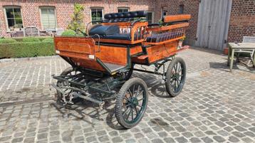 Calèche élégante, Utilisé, Wagonette, Cheval