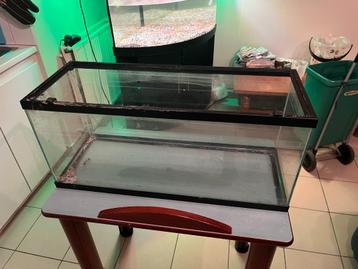 aquarium beschikbaar voor biedingen