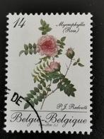 Belgique 1990 - flore - fleurs - roses Redouté - Mycrophylla, Enlèvement ou Envoi, Affranchi, Autre