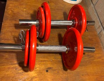 Haltères modulables 2 à 6 kg par haltère  beschikbaar voor biedingen