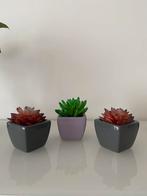 Décoration, Ophalen, Zo goed als nieuw