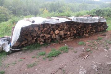 bois de chauffage beschikbaar voor biedingen